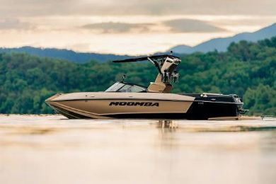 Picture for category Mojo